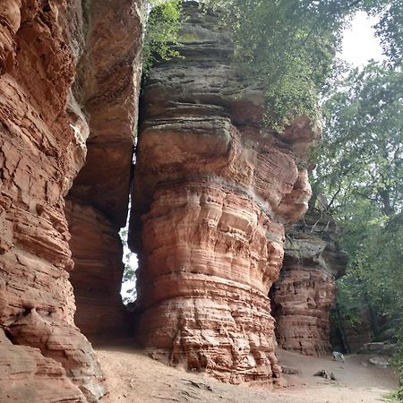 L'Echappee Verte - Gite Equestre 5 Pers Soucht 外观 照片