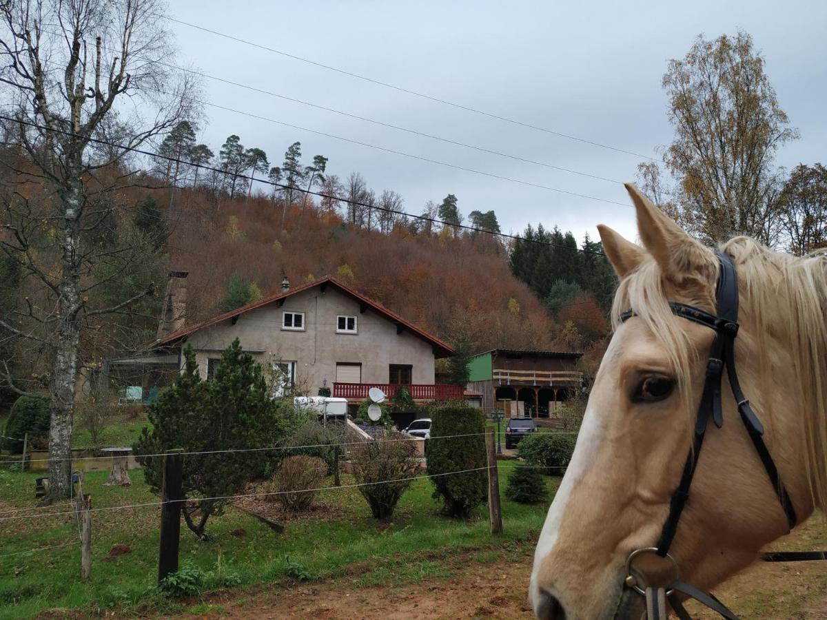 L'Echappee Verte - Gite Equestre 5 Pers Soucht 外观 照片