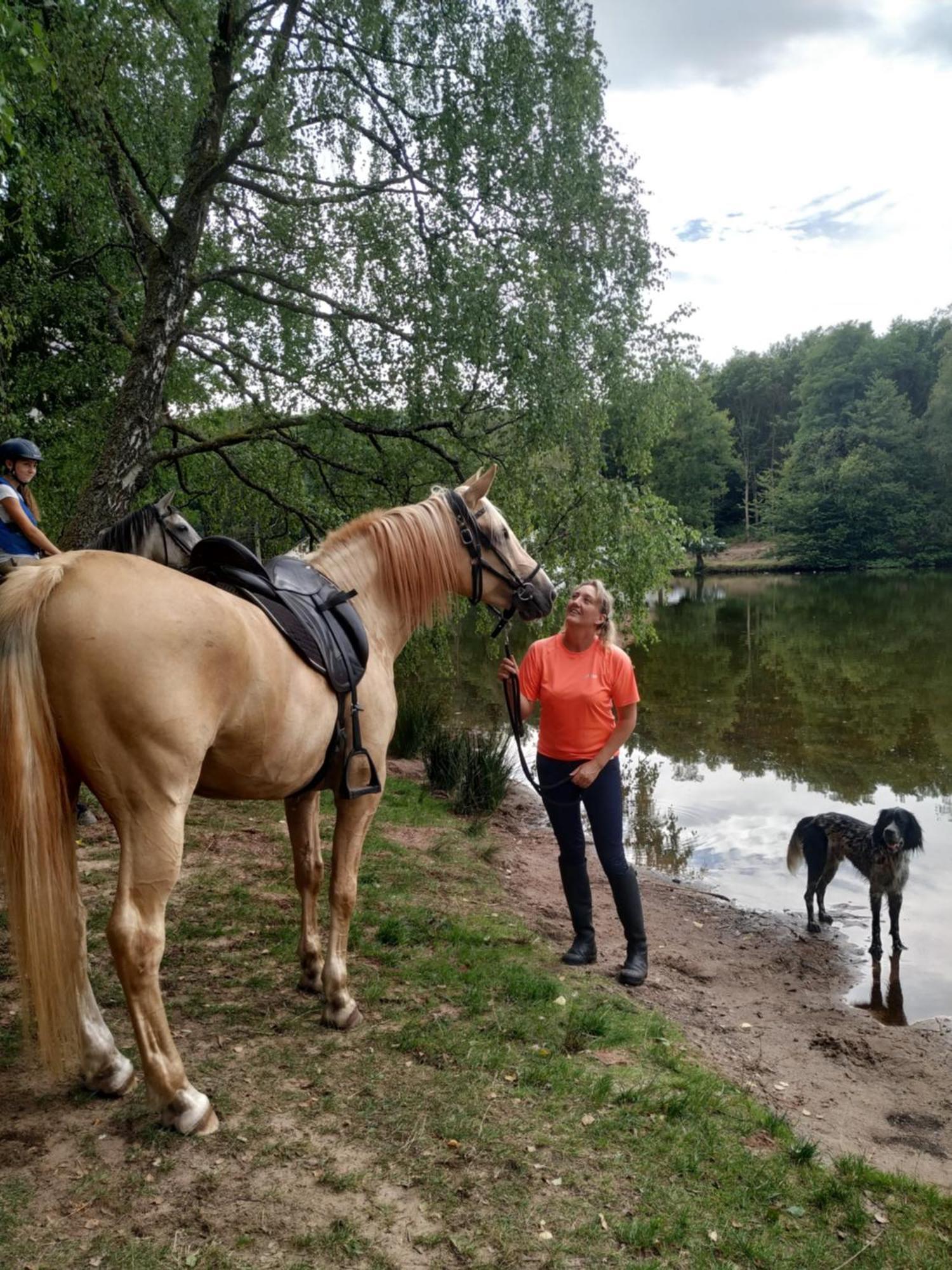 L'Echappee Verte - Gite Equestre 5 Pers Soucht 外观 照片