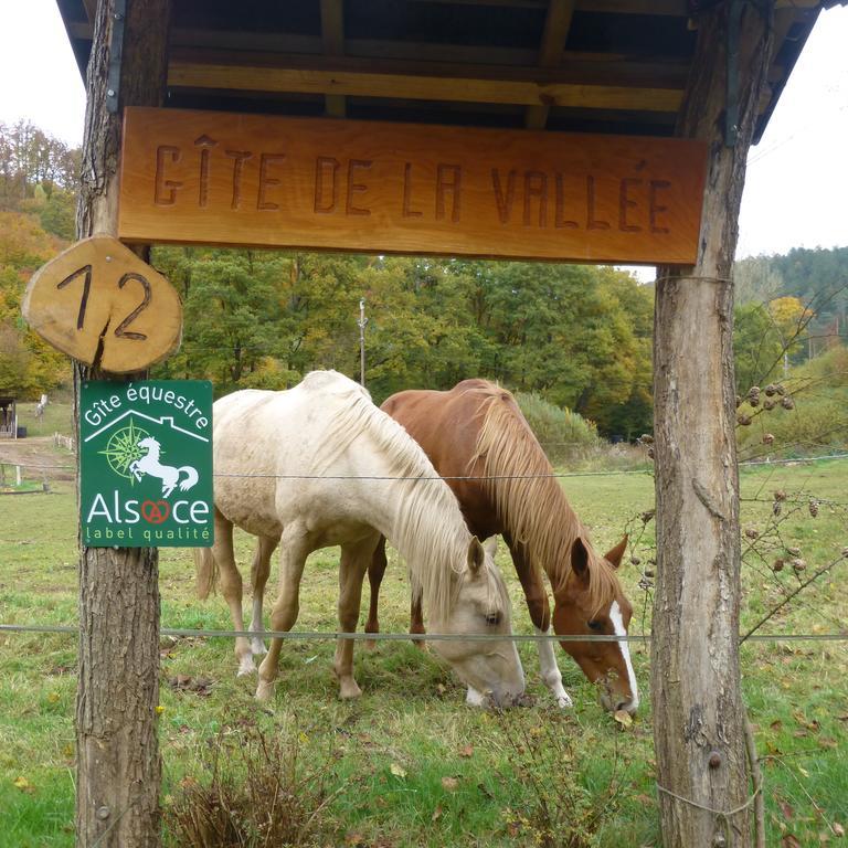 L'Echappee Verte - Gite Equestre 5 Pers Soucht 外观 照片