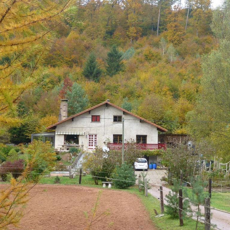 L'Echappee Verte - Gite Equestre 5 Pers Soucht 外观 照片