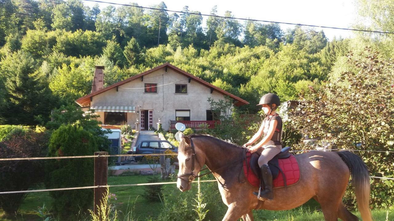 L'Echappee Verte - Gite Equestre 5 Pers Soucht 外观 照片