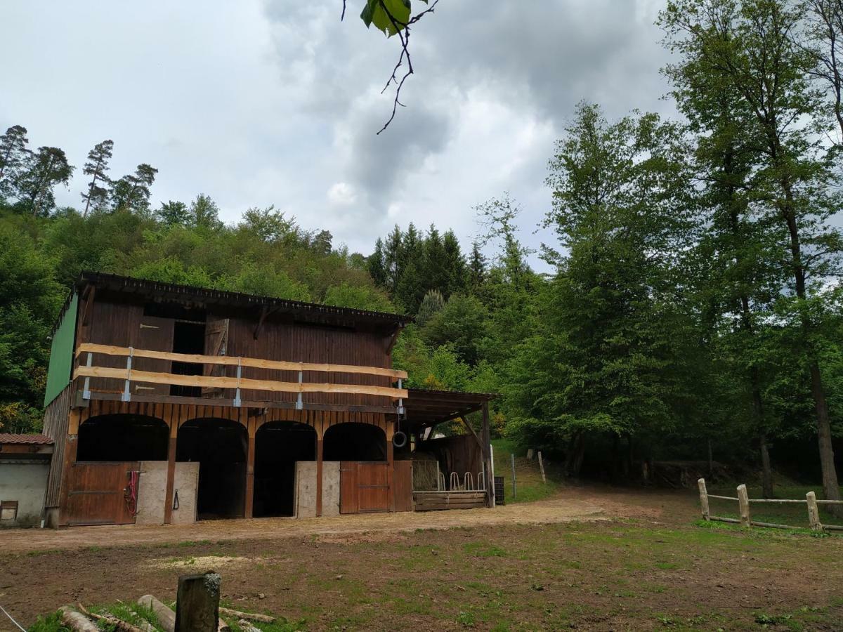 L'Echappee Verte - Gite Equestre 5 Pers Soucht 外观 照片